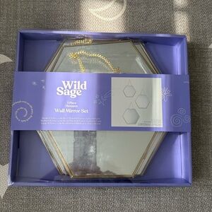 Wild sage Gold Hexagon Wall Mirror Set